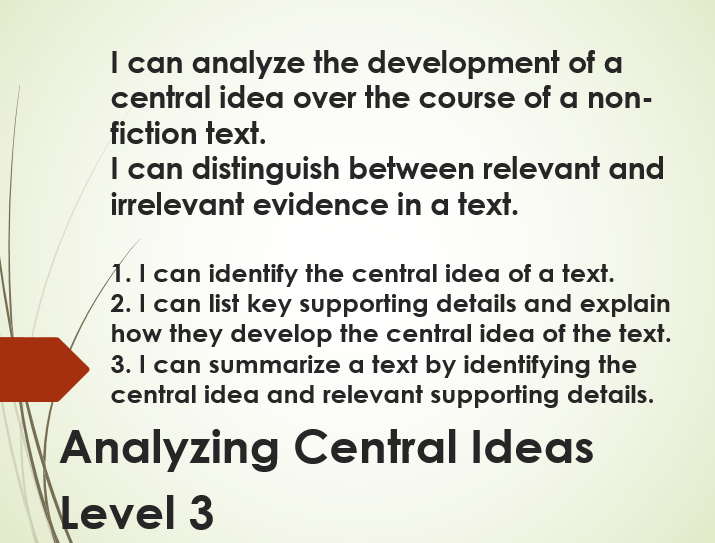 what is the point of central idea of the essay